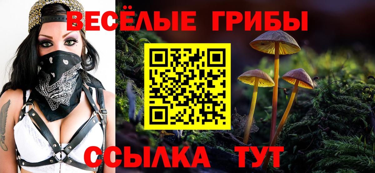 Псилоцибиновые грибы мицелий  Вход с VPN  Псилоцибиновые грибы Psilocybe  купить   Реутов 